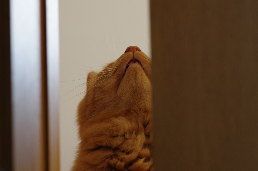 ドアの隙間
