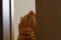 ドアの隙間