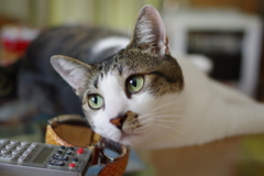 そら