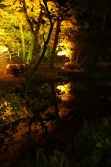 GWの紅葉⁉　in宇奈月温泉