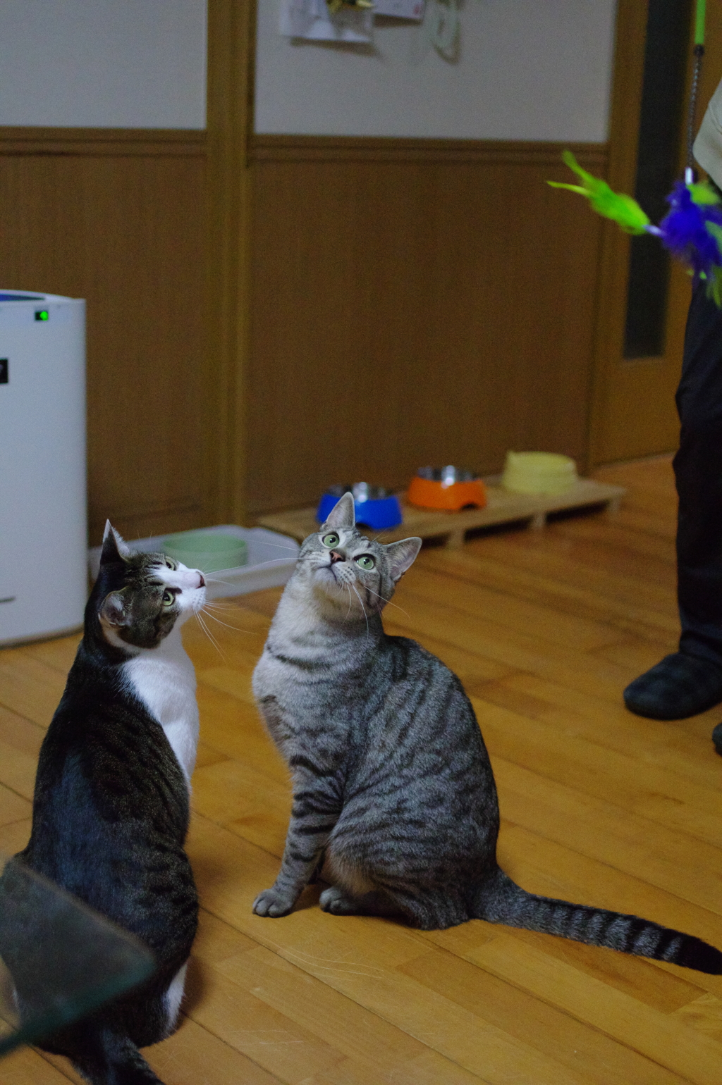 らい&そら