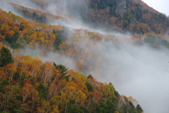 大河原峠　紅葉