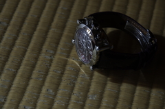 IMGP6846