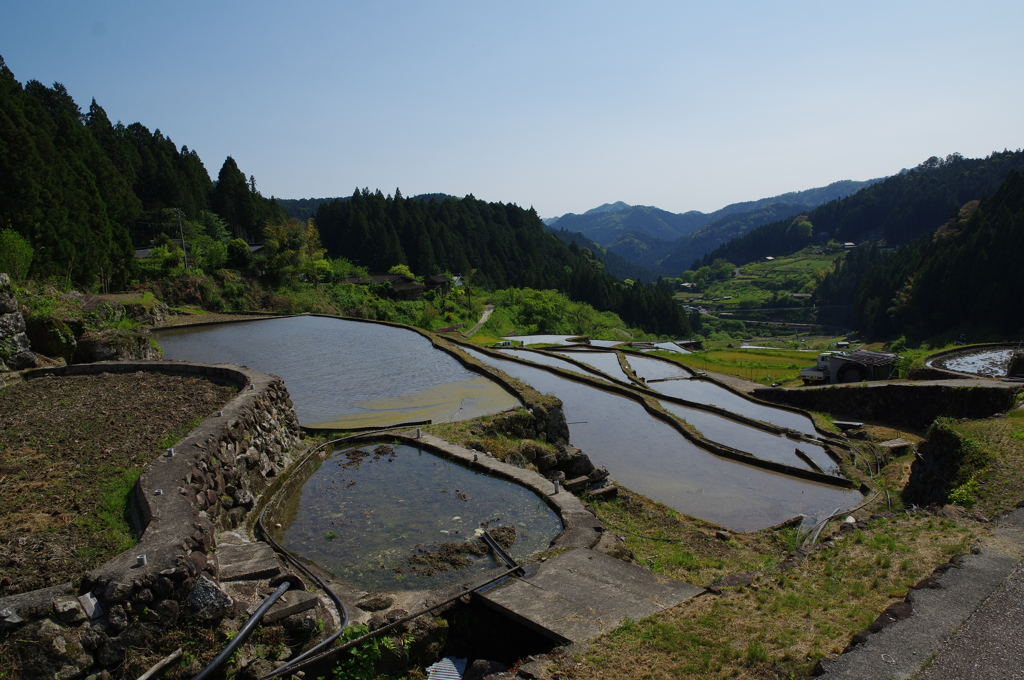 四谷千枚田