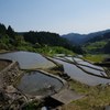 四谷千枚田