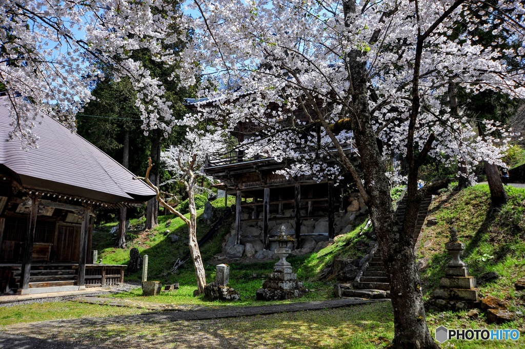 東山公園