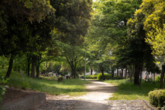 08