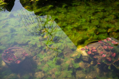04