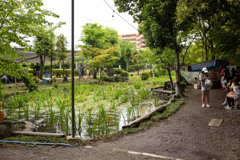 05