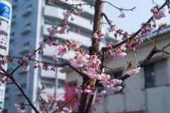 04