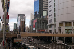 09