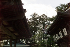 09
