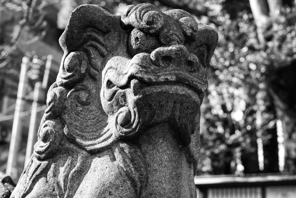 L1002185-Edit