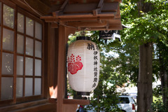 09