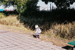 06