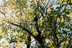 08