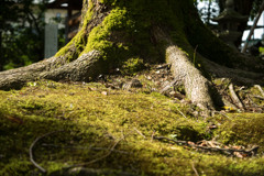 03