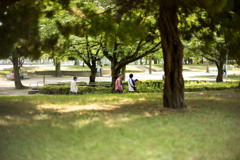 06