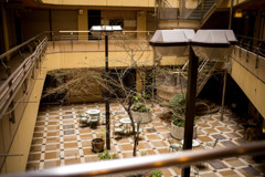 03-l