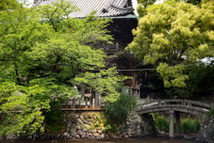 06