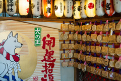 06