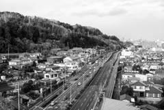 06