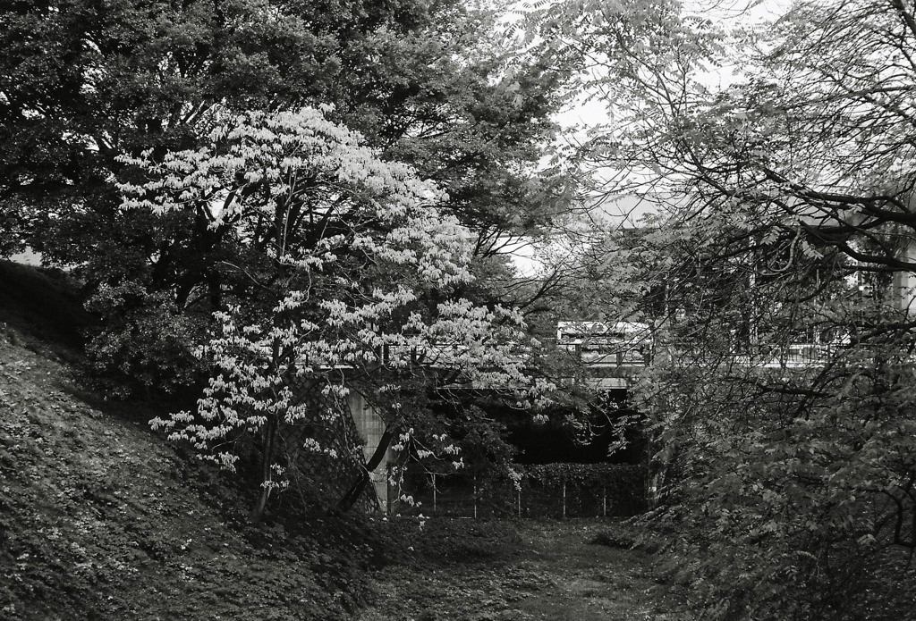 09