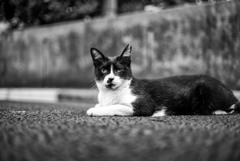 06