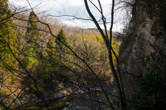 14-a50