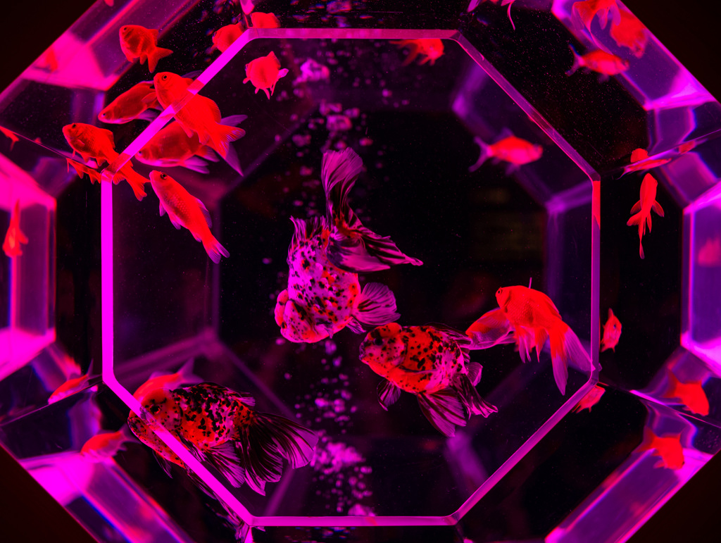 09_L