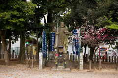 03
