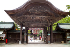L1006266