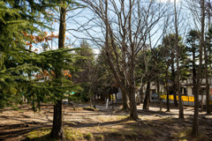 04