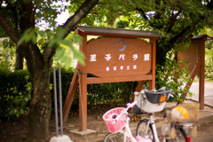 05