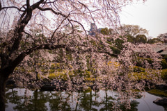 09-L