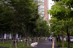 L1006714