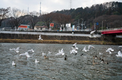 06a