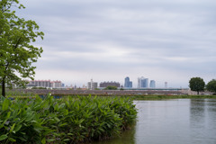 07