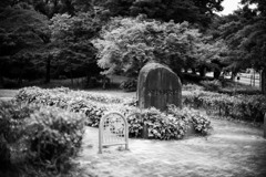 茶屋ケ坂公園
