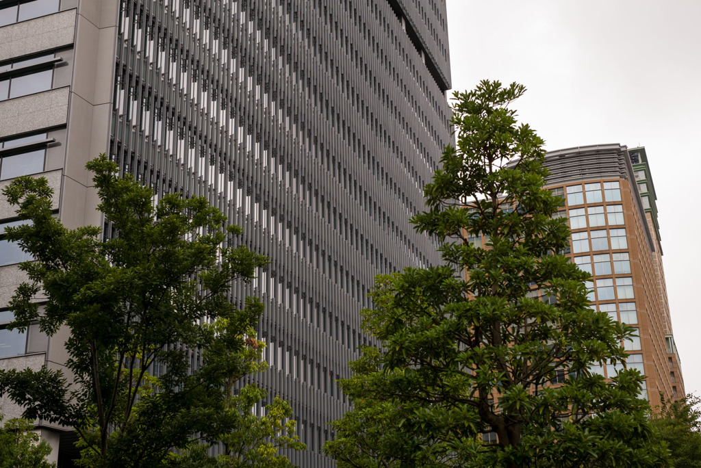 L1006711