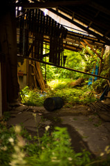 Ruin