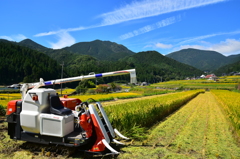 あっという間にこんな時期に...