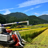 あっという間にこんな時期に...