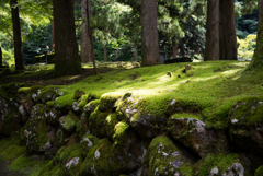 永平寺 永平寺