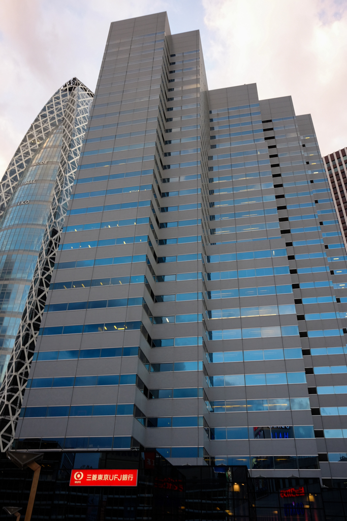 ビルを見上げて