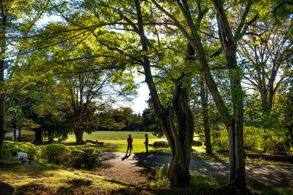 休日の公園