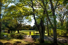 休日の公園