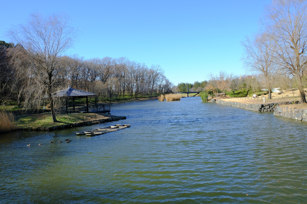 晴天に恵まれて