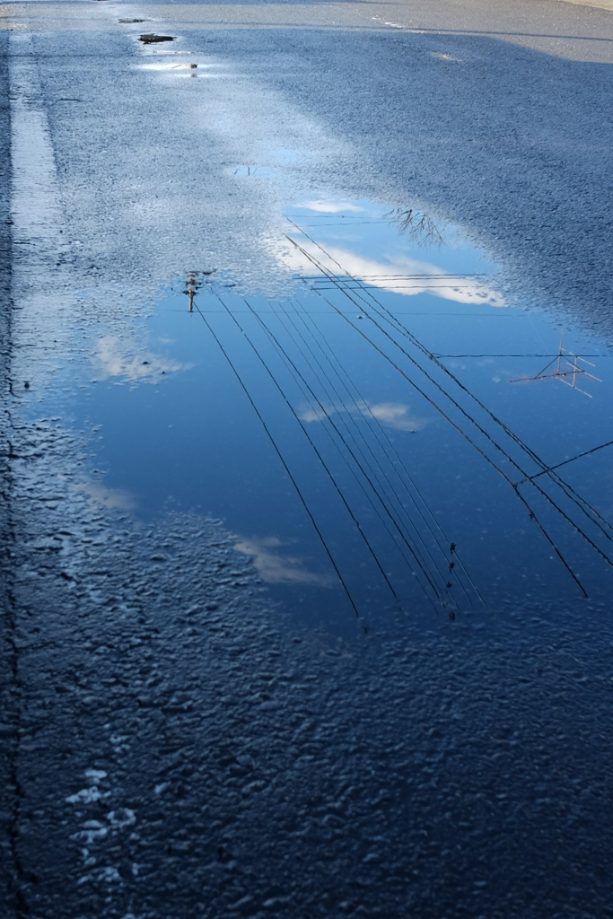 雨上がり