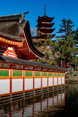 厳島神社１